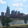 nashvillebee
